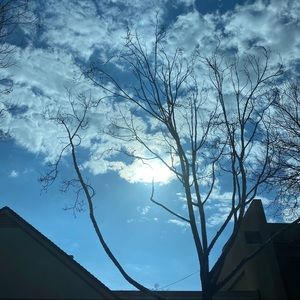 Meet your Posher, Winnie